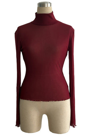 Sheer Turtleneck Long Sleeve Blouse
