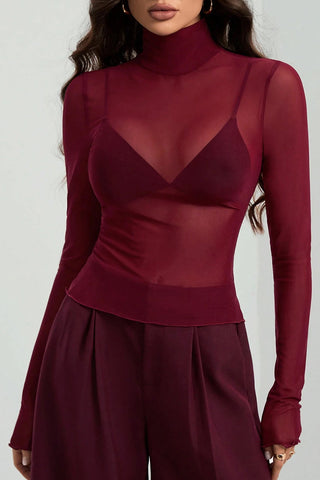 Sheer Turtleneck Long Sleeve Blouse