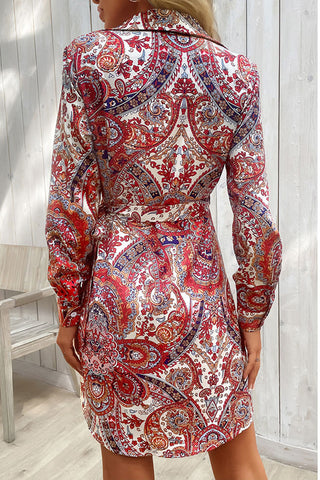 Paisley Print Wrap Shirt Dress