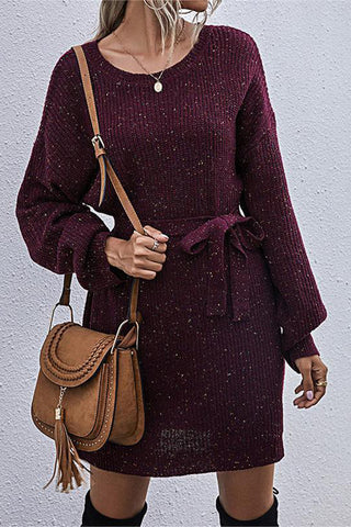 Belted Knit Casual Dress