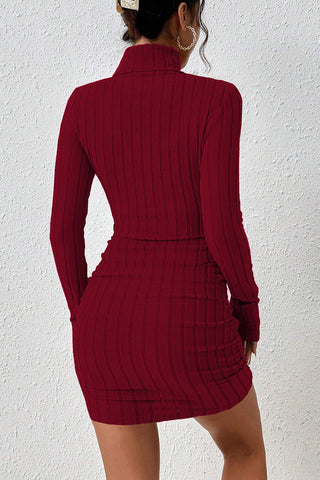 Ribbed Knit Turtleneck Dress