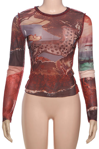 Printed Long-Sleeve Mesh Top