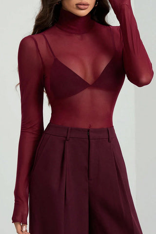 Sheer Turtleneck Long Sleeve Blouse