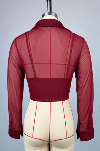 Elegant Sheer Long Sleeve Top