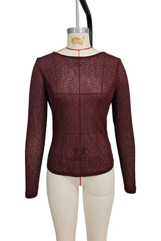 Elegant Long-Sleeve Sheer Blouse