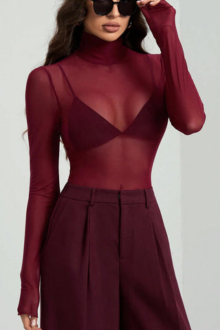 Sheer Turtleneck Long Sleeve Blouse