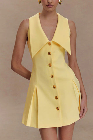 Contrast Collar Button-Up Dress