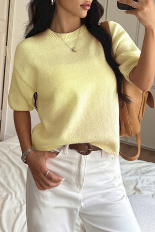 Casual Crewneck Short Sleeve Sweater