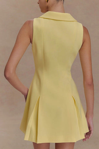 Contrast Collar Button-Up Dress