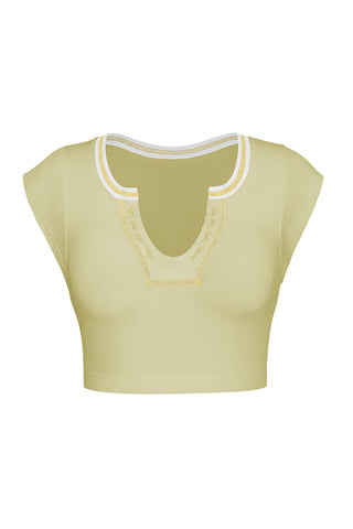 Stylish Scoop Neck Crop Top