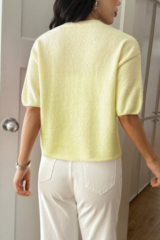 Casual Crewneck Short Sleeve Sweater