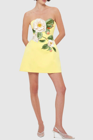 Floral Appliqué A-Line Dress
