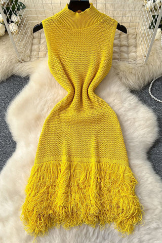 Fringe Hem Knitted Casual Dress