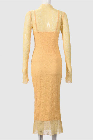 Elegant Long Sleeve Lace Dress