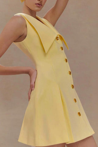 Contrast Collar Button-Up Dress