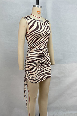 Zebra One-Shoulder Ruched Dress