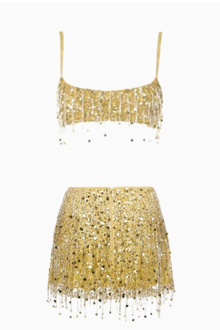 Sequin Sheer Mesh Crop Top and Mini Skirt Set