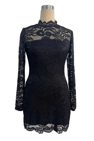 Sheer Lace Mock Neck Bodycon Mini Dress