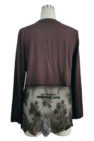 Sheer Lace Hem Long Sleeve Crew Neck Top