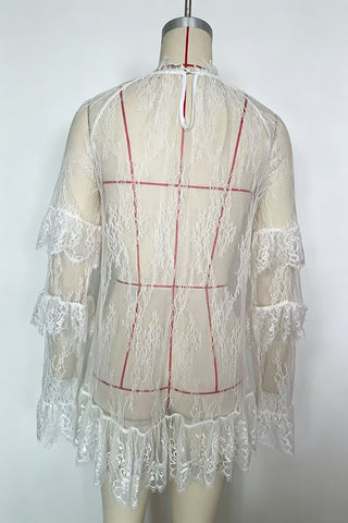 Ruffle Sheer Lace Mini Dress