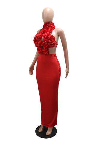 Floral Applique Halter Cutout Maxi Evening Dress