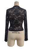 Sheer Floral Lace Mock Neck Crop Blouse
