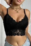 Lace Trim Cropped Tank Top