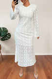 Elegant Lace Long Sleeve Casual Dress