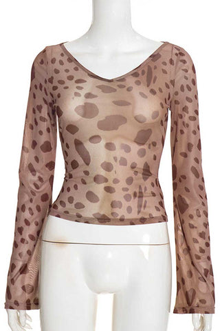 Sheer Leopard Print V-Neck Long Sleeve Top
