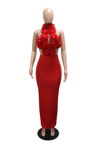 Floral Applique Halter Cutout Maxi Evening Dress