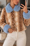 Faux Fur Collar Spot Print Button Jacket