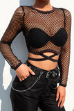 Mesh Long-Sleeve Crop Top