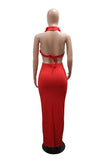 Floral Applique Halter Cutout Maxi Evening Dress