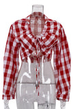 Gingham Tie-Front Cropped Blouse