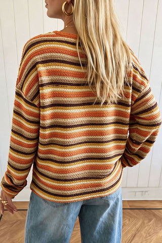 Striped Crew Neck Long Sleeve Knit Top