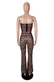 Sheer Lace Sweetheart Flare Pants Set