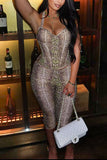 Snake Print Capri Pants Set