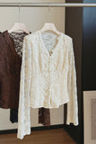 Floral Lace V-Neck Long Sleeve Blouse