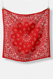 Paisley Print Neck Scarf