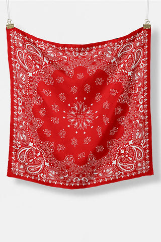 Paisley Print Neck Scarf