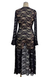 Sheer Lace Front Tie Bell Sleeve Blouse
