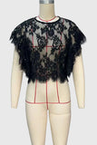 Sheer Lace Flutter Sleeve Crop Top