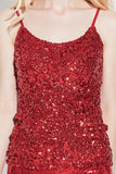 Sequin Scoop Neck Sleeveless Cami