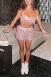Sequin Sheer Mesh Crop Top and Mini Skirt Set