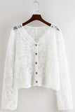Button-Front Lace Blouse