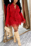 Fringe Trim V-Neck Knit Skirt Set