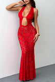 Sheer Lace Halter Casual Dress