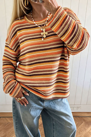 Striped Crew Neck Long Sleeve Knit Top