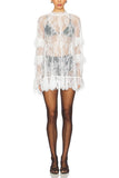 Ruffle Sheer Lace Mini Dress