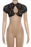Sheer Floral Lace Cutout Crop Top